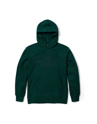 THE NORTH FACE UNISEX EBD 3D LOGO HOODIE  (ASIA SIZE) - PONDEROSA GREEN